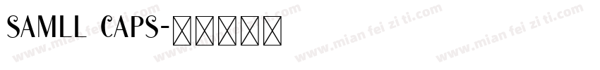 samll caps字体转换